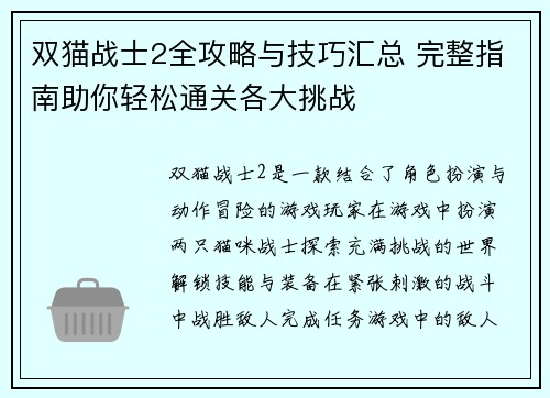 双猫战士2全攻略与技巧汇总 完整指南助你轻松通关各大挑战